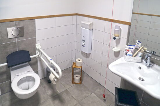 Behindertengerechtes WC mit Klo, Haltegriff und Waschbecken